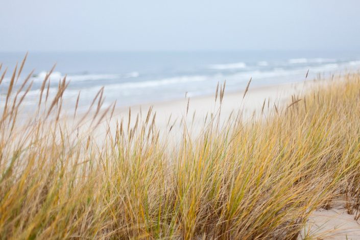 landschaft_ostsee_grömitz